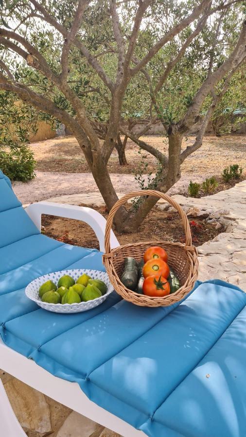 Villa Bubica- Cozy Holiday Home In Rural Area With Pool Stankovci  Exteriér fotografie